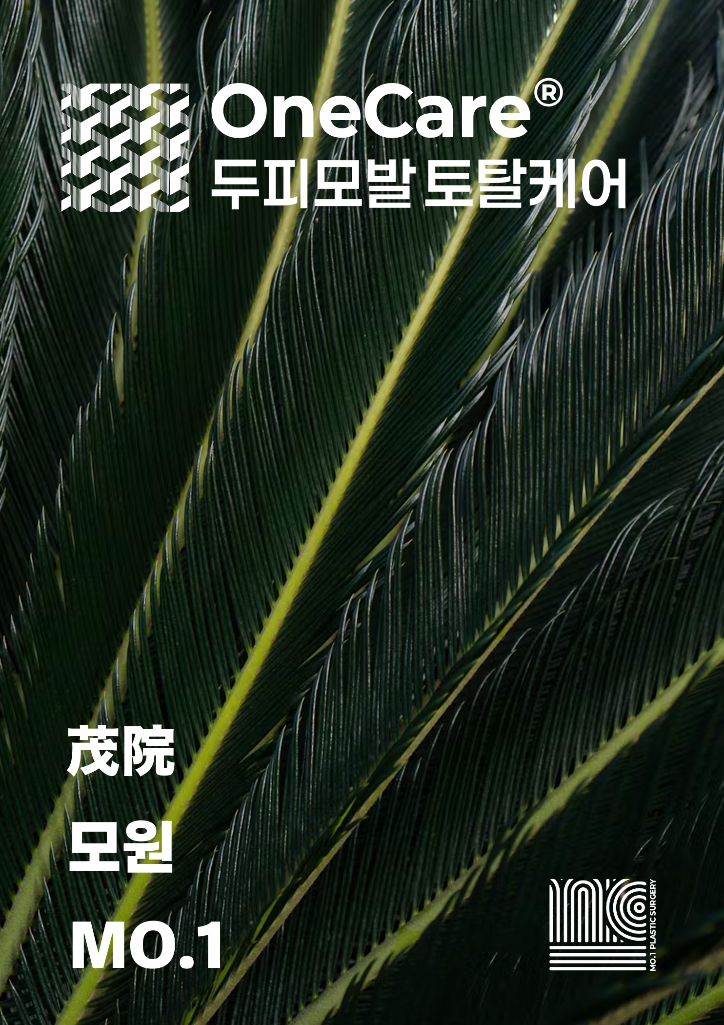 이미지 설명